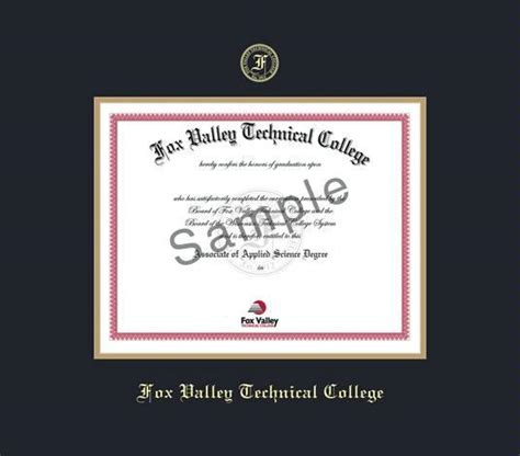 Custom Diploma Frames Certificate Frames Framing Success Fox