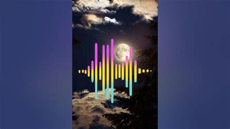 Тэргэл сар🌑🌑🌑 - YouTube