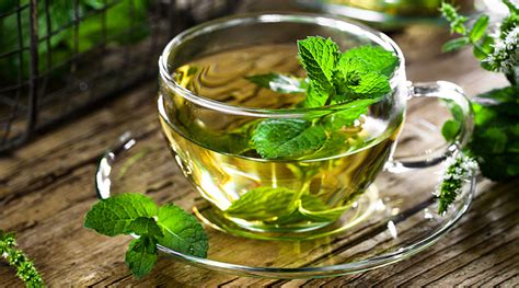 Tout Savoir Sur Les Infusions La Menthe Bienfaits Recettes