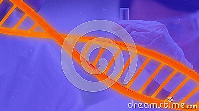 Animation Of Dna Strand Spinning Over Scientist In Laboratory Stock