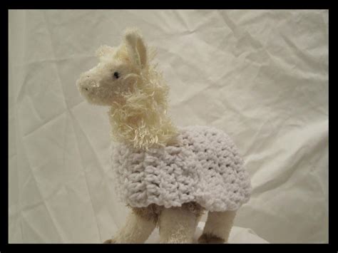 Albino Llama By Jesspotter On Deviantart