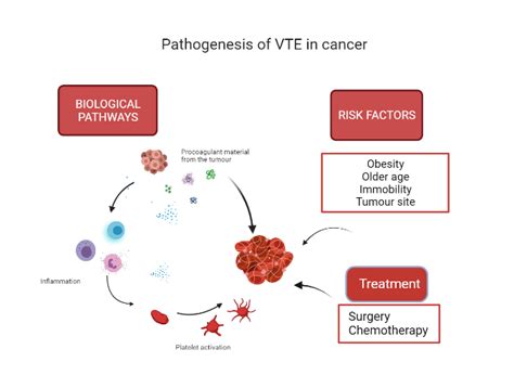 Biomarkers For Cancer Associated Venous Thromboembolism Hospital