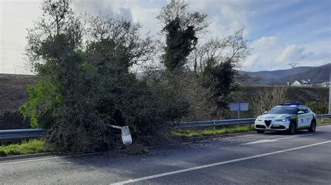 Caen Un Rbol Y Una Farola Sobre Un Carril De La N En Cangas De Foz