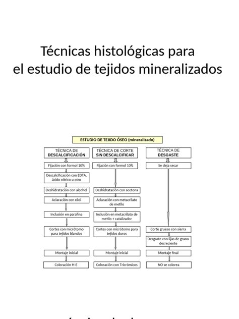 Técnicas Estudio Tejido Óseo Pdf