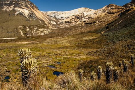 How to Get to Los Nevados National Park - Best Routes & Travel Advice ...