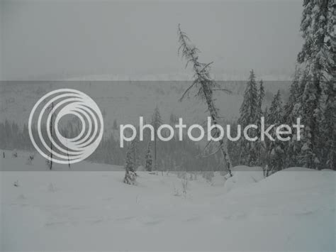 Sledding pictures from Elk River, Idaho | SnoWest Forums