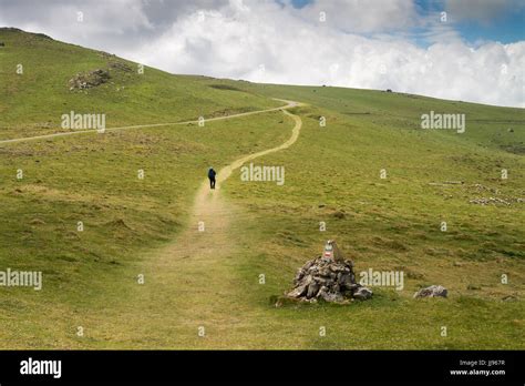 Pilgrim Walking The Camino De Santiago The Way From Saint Jean Pied De