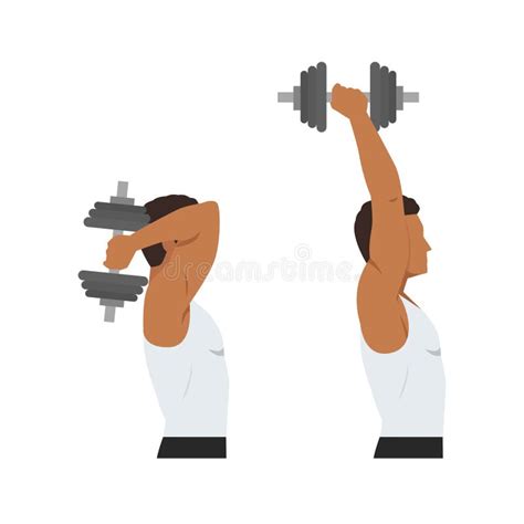 Seated Tricep Extension Stock Illustrations 13 Seated Tricep Extension Stock Illustrations