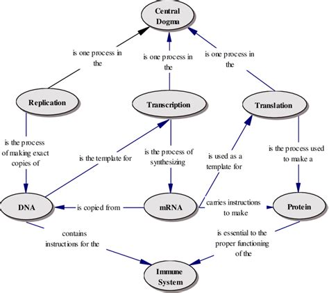 Heredity Concept Map