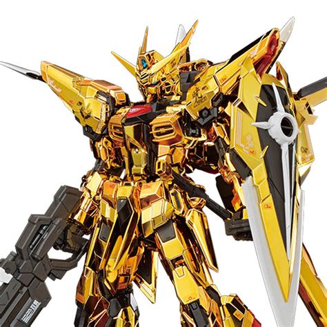 Mobile Suit Gundam Seed Destiny Akatsuki Gundam Oowashi Unit Real Grade