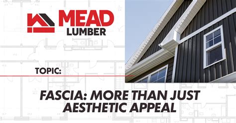 Fascia: More Than Just Aesthetic Appeal | Mead Lumber