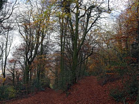 Photographs Of Coopers Hill Nature Reserve Gloucestershire England