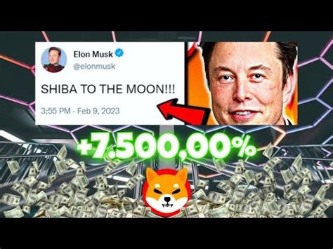 Shiba Inu Coin Finally Elon Musk Joined The Shibarmy Shiba News