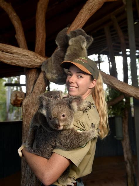 ADORABLE PHOTOS: Billabong Sanctuary’s newest koalas | The Advertiser