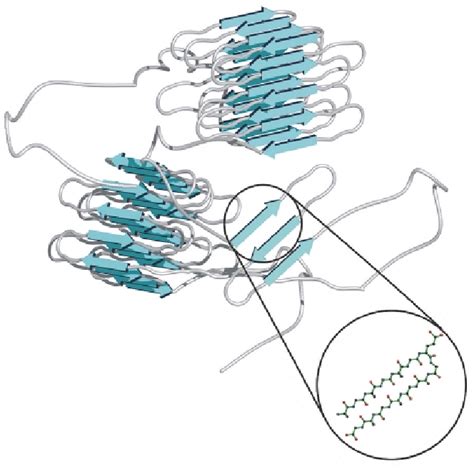 Schematic Representation Of The Organization Of Amorphous And