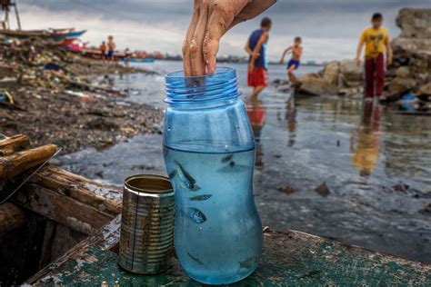 95 Fotos De Planeta O Plástico