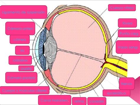 El Ojo