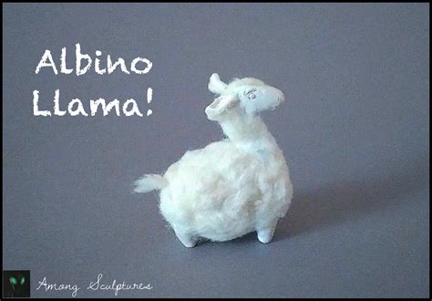 Albino Llama By Amongsculptures On Deviantart