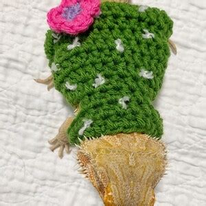 Crocheted Adult Cactus Bearded Dragon Costume Bearded Dragon Etsy