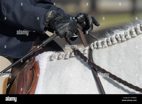 Female Horse Jumper Hi Res Stock Photography And Images Alamy