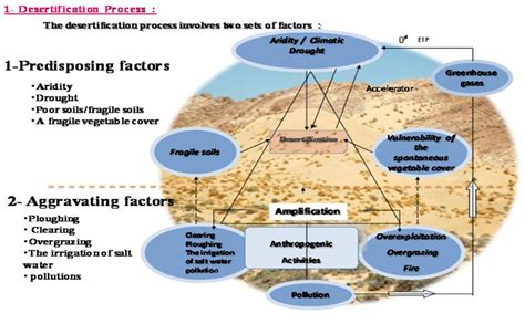 Task 1 The Diagram Below Shows The Process Of Desertificatio