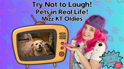 Try Not To Laugh Meet The Puggle Dachshund And Kitty Youtube