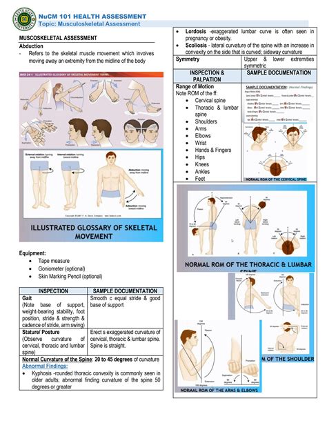 Solution Bsn I Health Assessment In Nursing Muscoskeletal