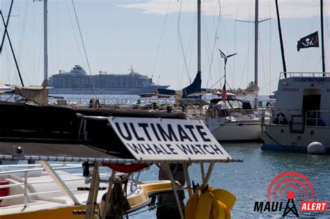 Cruise Ships Return To Maui