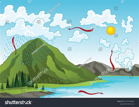 Water Cycle Diagram Earth Hydrologic Process Stock Vector (Royalty Free ...