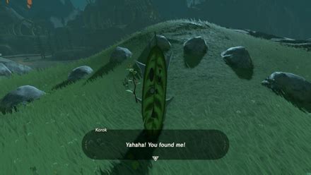 Korok Seeds Map And All Korok Seed Locations Zelda Breath Of The