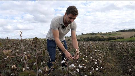 Du coton produit en France un pari devenu réalité dans le Gers YouTube