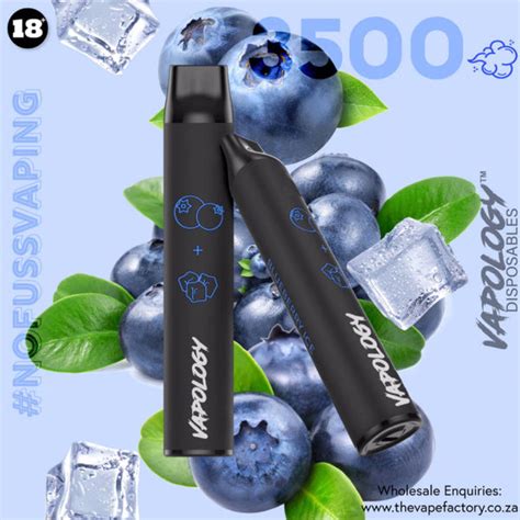 Vapology Bar Disposable 3500 Puffs 5 Nic Salt The Vape Studio