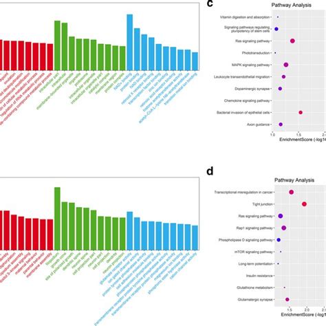 Go Annotation And Kegg Pathway Analysis For Decs Go Analysis Results