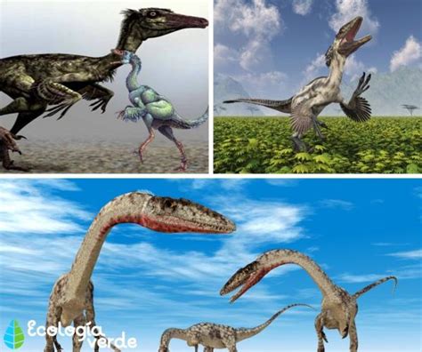 Dinosaurios CarnÍvoros Nombres Tipos Características E Imágenes