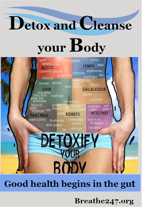 Detox And Cleanse Your Body Lung Cleanse Cleanse Your Body Detox