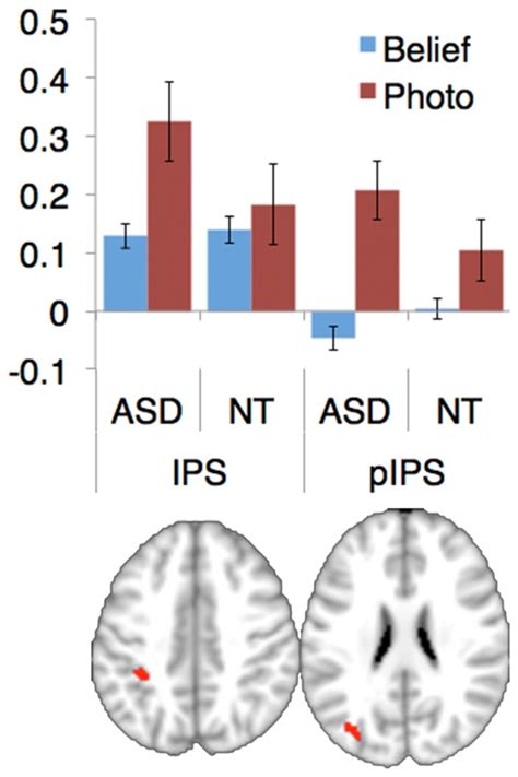 Two clusters, both in the intraparietal sulcus (IPS) were found to be ...