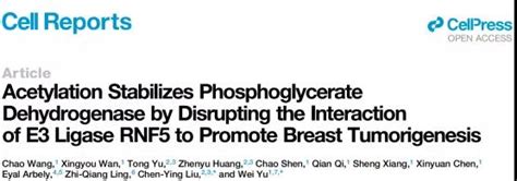 科学网—余巍刘辰莹课题组揭示衰老基因sirt2 调控丝氨酸合成途径参与肿瘤形成的机制 小柯生命的博文