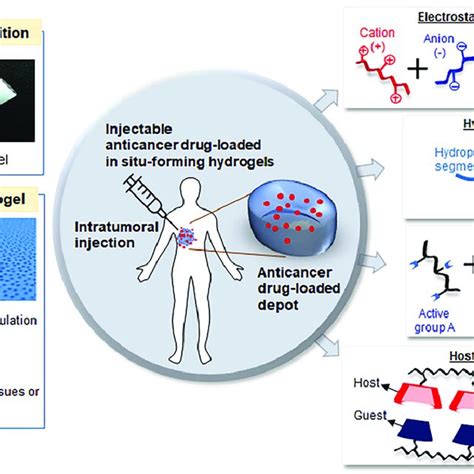 Intratumoral Injection Using An Injectable Hydrogel Through Physical