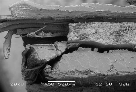 Sem Micrograph Showing Debonding And Matrix Cracks Of C Composite