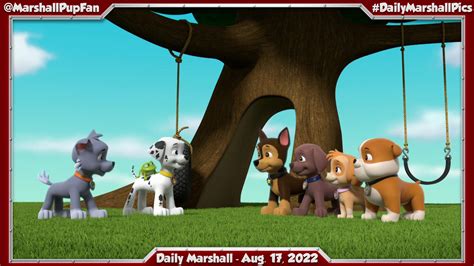 Marshall Pup Fanatic On Twitter Daily Marshall August 17 2022