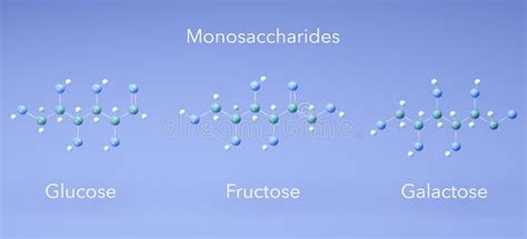 Monosaccharide - Glucose, Fructose, Galactose, Molecular Structures, 3d ...