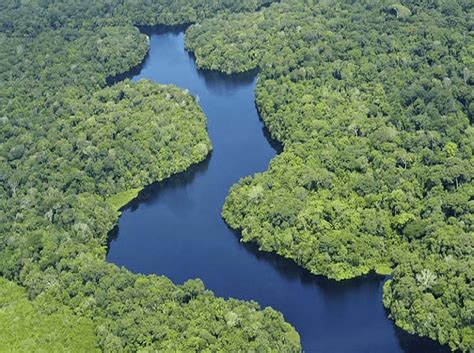 Lula Propondrá A La Onu Realizar Conferencia De Cambio Climático En La Amazonía Diariovea