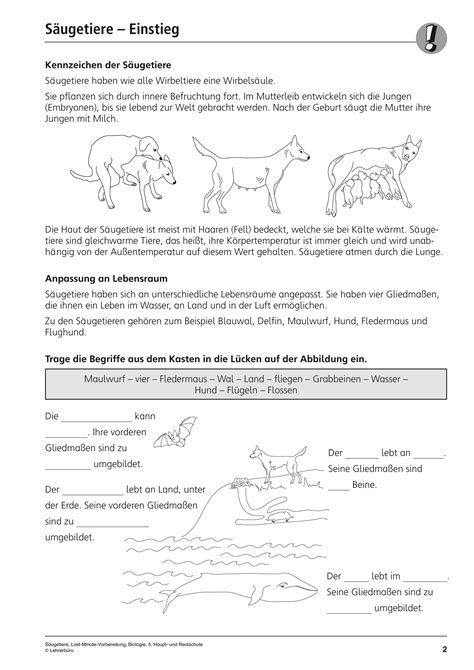 Sekundarstufe I Unterrichtsmaterial Biologie Tiere