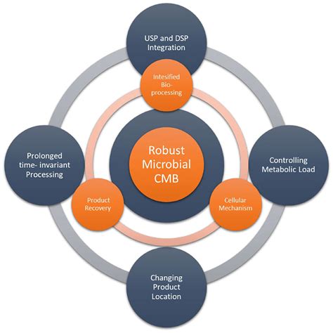 Frontiers Editorial Continuous Biomanufacturing In Microbial Systems