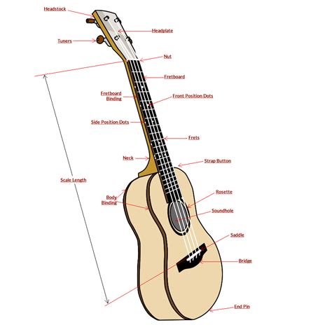 Ukulele Size Guide Soprano Concert Tenor Baritone And Bass Ultp