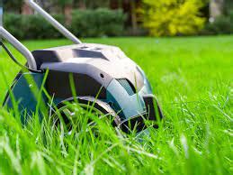 How to use a lawn scarifier - Bixideco.com