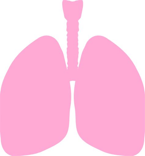 Lungs Clip Art at Clker.com - vector clip art online, royalty free ...