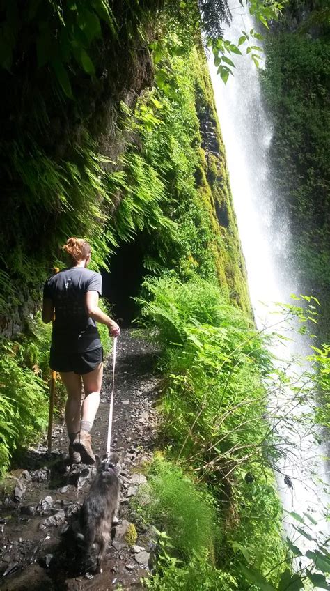 Explore the Breathtaking Eagle Creek Trail in Oregon