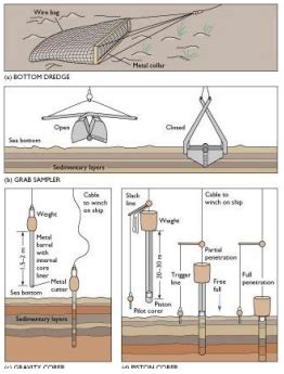 Lecture 10 - Marine Sediments Flashcards | Quizlet