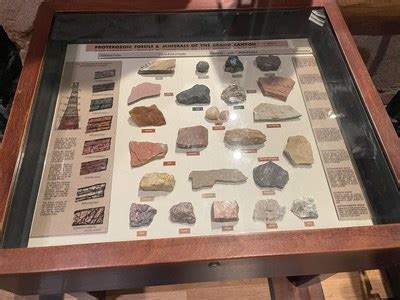 Proterozoic Fossils & Minerals of the Grand Canyon - Disney's Wilderness Lodge - Bay Lake, FL ...